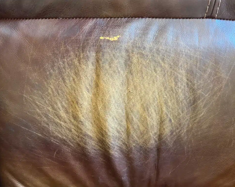 Preparing to Fix Scratches on Leather Couch