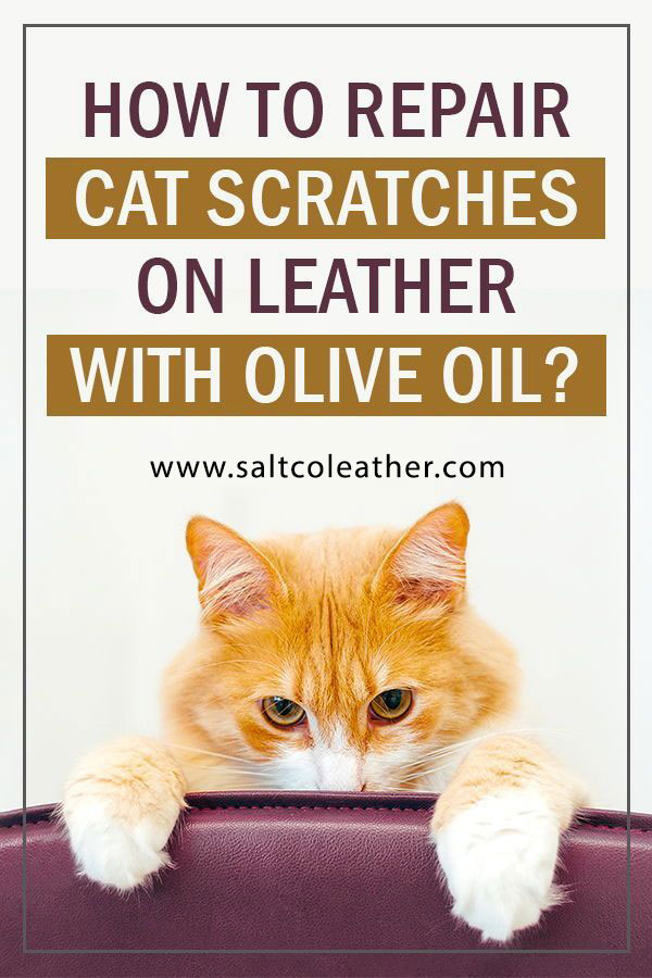 Repair Cat Scratches on Leather with Olive Oil