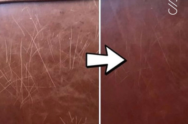 How to Repair Cat Scratches on Leather with Olive Oil