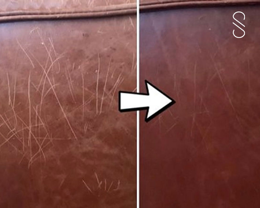 How to Repair Cat Scratches on Leather with Olive Oil